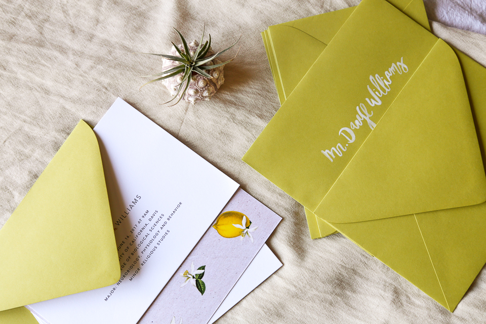 Custom Invitation Design and Modern Calligraphy Addresses for Llamas & Lemons Suite by Amarie Design Co. 